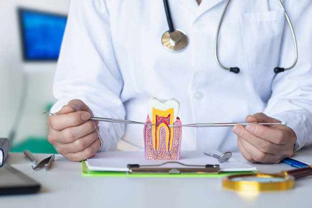 Best Pediatric Emergency Dentist in Princeton Meadows, NJ